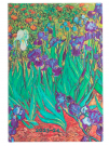 Paperblanks - Paperblanks diář 18měsíční 2023-2024 Van Gogh’s Irises mini horizontální DE9487-6
